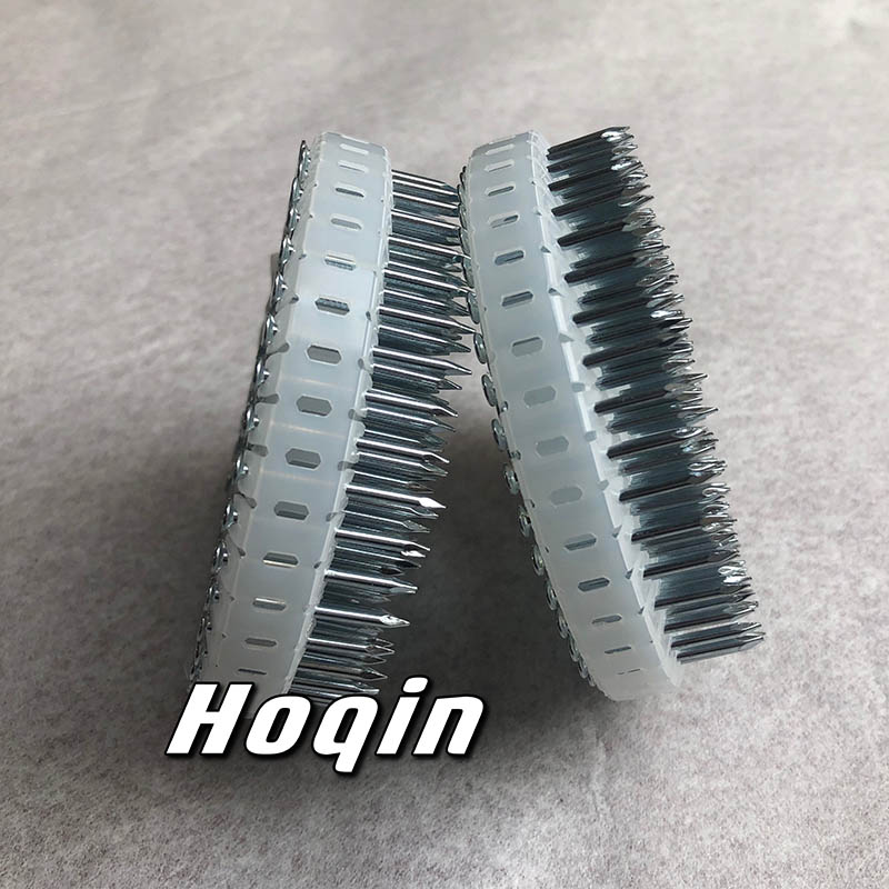 1.83 X 22mm plastics sheet coil nails7